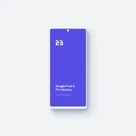 Google Pixel 6 Pro 1